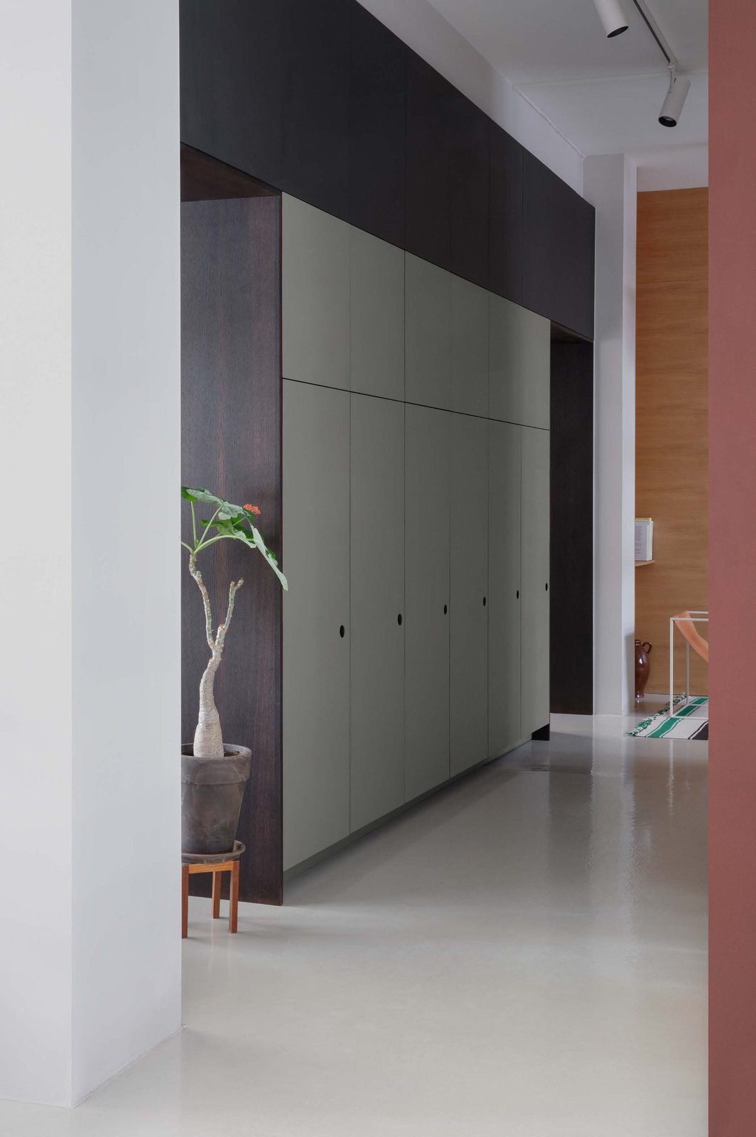 BASIS Linoleum in Ash