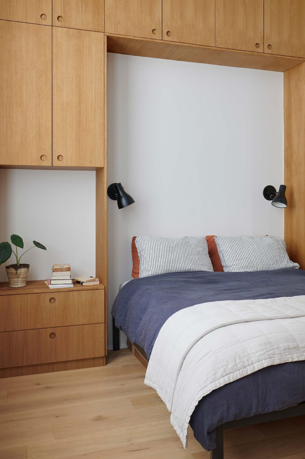 BASIS Natural Oak